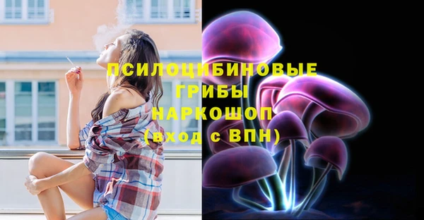 соль курить ск Алексеевка