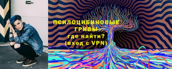 прущие грибы Алексин