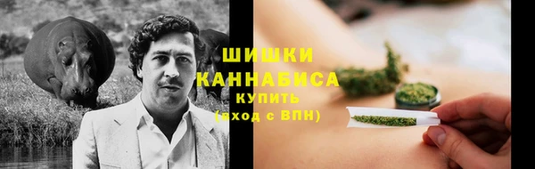 прущие грибы Алексин