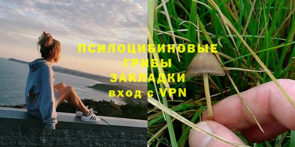 прущие грибы Алексин