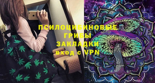 винт Алзамай