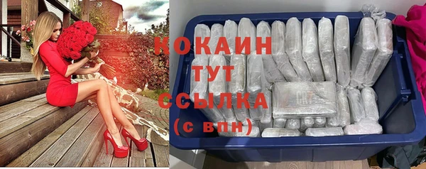 прущие грибы Алексин