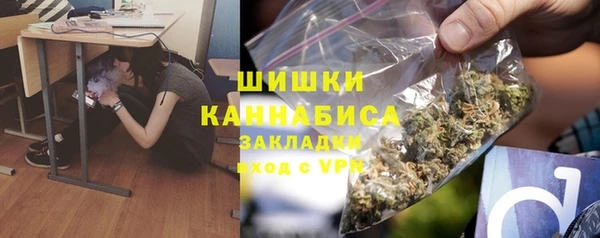 винт Алзамай