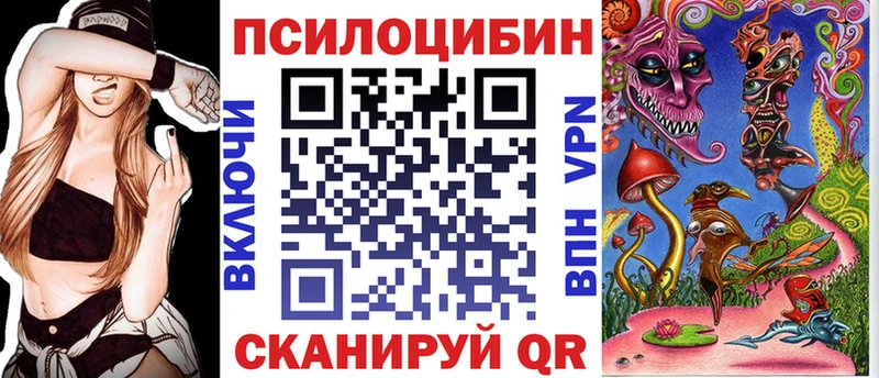 Галлюциногенные грибы Psilocybine cubensis  блэк спрут маркетплейс  Ардон 